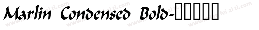 Marlin Condensed Bold字体转换